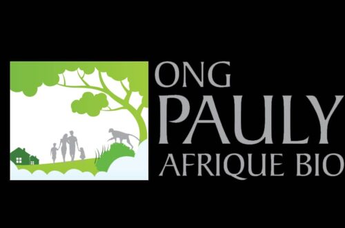 Article : Itinéraire d’une activiste écologique : Paulette Atchadé Savimbi